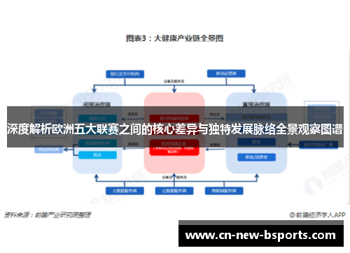 深度解析欧洲五大联赛之间的核心差异与独特发展脉络全景观察图谱 深度解析欧洲五大联赛之间的核心差异与独特发展脉络全景观察图谱