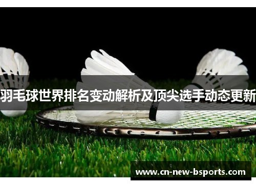 羽毛球世界排名变动解析及顶尖选手动态更新