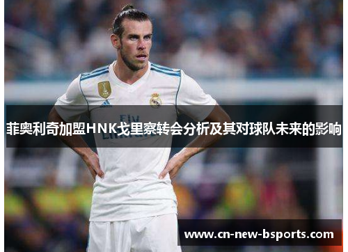 菲奥利奇加盟HNK戈里察转会分析及其对球队未来的影响 菲奥利奇加盟HNK戈里察转会分析及其对球队未来的影响