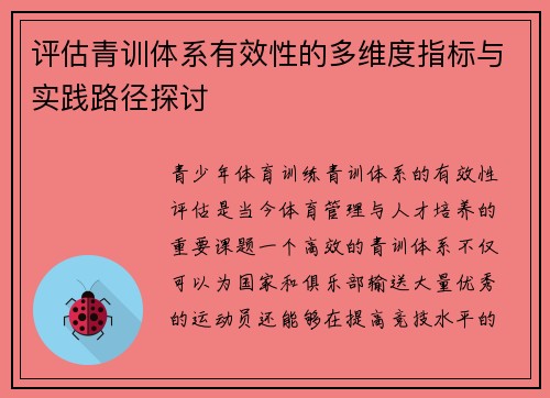 评估青训体系有效性的多维度指标与实践路径探讨