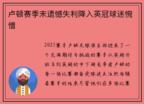 卢顿赛季末遗憾失利降入英冠球迷惋惜