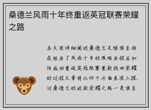 桑德兰风雨十年终重返英冠联赛荣耀之路